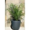 17" Kante Lightweight Concrete Modern Seamless Outdoor Planter Charcoal - Rosemead Home & Garden, Inc.