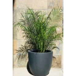17" Kante Lightweight Concrete Modern Seamless Outdoor Planter Charcoal - Rosemead Home & Garden, Inc.