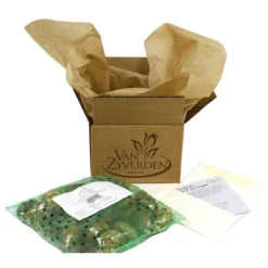 12ct Allium Miami Bulbs - Van Zyverden 8 12ct Allium Miami Bulbs - Van Zyverden -Sunnydaze Decor Store GUEST bc77edb8 ae2e 4f65 80b4 613a97ad577f