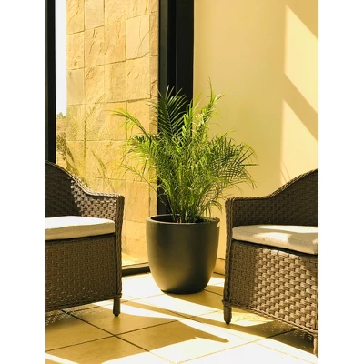 17" Kante Lightweight Concrete Modern Seamless Outdoor Planter Charcoal - Rosemead Home & Garden, Inc. 4 17" Kante Lightweight Concrete Modern Seamless Outdoor Planter Charcoal - Rosemead Home & Garden, Inc. - Image 2