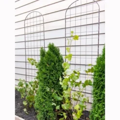 Gardeners Supply Company Jardin Flower Trellis | Sturdy Tall Garden Trellis For Climbing Plants, Clematis & Other Vine Flowers | Easy To Install -Sunnydaze Decor Store GUEST c4c9f45e dcf1 4933 86eb 2bf2baed18f1
