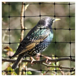 100'x14' Standard Bird Netting - Bird-X 8 100'x14' Standard Bird Netting - Bird-X -Sunnydaze Decor Store GUEST ccd1100d ffba 4069 8e6f ec685ee84616
