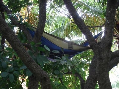 The Hamptons Collection 128" Blue And Dark Green Heavy Duty Lightweight Traveler’s Nylon Hammock 4 The Hamptons Collection 128" Blue And Dark Green Heavy Duty Lightweight Traveler’s Nylon Hammock - Image 2