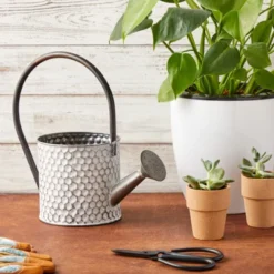 Okuna Outpost Galvanized Metal Watering Can Vase For Indoor Outdoor Plant, Succulents (5.1 X 10 In) -Sunnydaze Decor Store GUEST d39d1008 ab16 4a26 8e57 41161c331f72