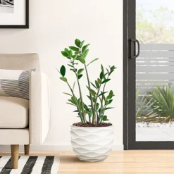 LuxenHome White MgO 11.6-Inch H Waves Round Planter -Sunnydaze Decor Store GUEST d47348c6 cb66 4956 8577 5e7283611479