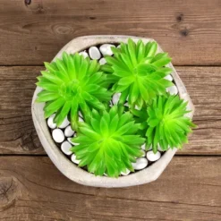 Nature Spring Glow-in-the-Dark Solar Pathway Pebble Lights, 200 Pcs. - Blue 10 Nature Spring Glow-in-the-Dark Solar Pathway Pebble Lights, 200 Pcs. - Blue -Sunnydaze Decor Store GUEST d71e7d16 f5cd 4539 8248 ab1ba73ebeff