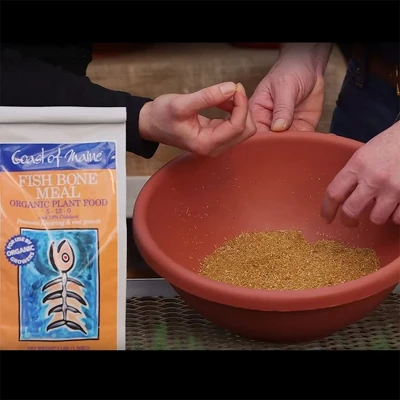 Coast Of Maine OMRI Listed Fish Bone Meal Pack Organic Compost Potting Soil Blend For Container Gardens And Flower Pots, 3 Pound Bag 5 Coast Of Maine OMRI Listed Fish Bone Meal Pack Organic Compost Potting Soil Blend For Container Gardens And Flower Pots, 3 Pound Bag - Image 3