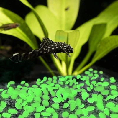 Nature Spring Glow In The Dark Solar Garden Stone Pebble Lights For Landscaping, Flower Beds, And Pathways - Green, 500-pc 5 Nature Spring Glow In The Dark Solar Garden Stone Pebble Lights For Landscaping, Flower Beds, And Pathways - Green, 500-pc - Image 3