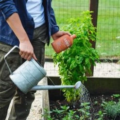 Arber 8oz Organic Plant Food Concentrate -Sunnydaze Decor Store GUEST dd8c2696 839e 4b9a bb22 efbe7d263a1c