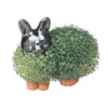 Joseph Enterprises, Inc Chia Pet Grass Planter: Bunny -Sunnydaze Decor Store GUEST dd9cfc9b 8f72 493b ae8d 1f87b8194103