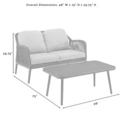 Haven 2pc Outdoor Wicker Conversation Set - Light Gray - Crosley -Sunnydaze Decor Store GUEST e117cd91 16ba 46a5 bc1d 7a67b829fa45
