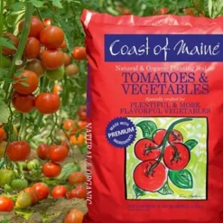 Coast Of Maine OMRI Listed Tomato And Vegetable Plant Potting Soil Compost Blend For Container Gardens And Flower Pots, 20 Quart Bag (2 Pack) -Sunnydaze Decor Store GUEST e1fa2d00 e836 4023 b8e3 2158fdca5e66 1