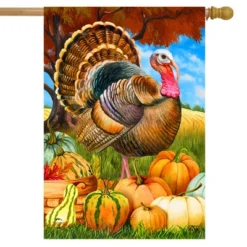 Turkey And Pumpkins Fall House Flag Thanksgiving Farm Autumn 28" X 40" Briarwood Lane