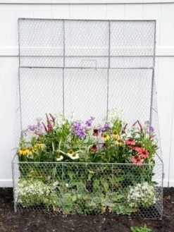 Gardener’s Supply Company Chicken Wire Cloche Flat Back Crop Coop | Sturdy Metal Flower, Garden Plants, And Backyard Vegetables Cover Protector | 20"D -Sunnydaze Decor Store GUEST eecee8eb fc1a 4537 841c feb503c8417f