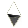 Trigg Wall Display Planter Black/Brass - Umbra -Sunnydaze Decor Store GUEST f2271121 7209 496b b051 b9f00c95eefa
