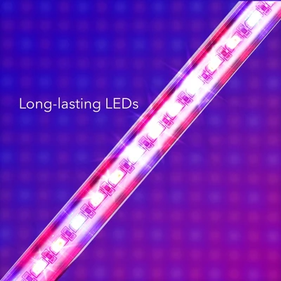 Dartwood LED Grow Lights For Indoor Plants With Red Blue Spectrum - Plant Grow Light With 9 Brightness Levels, Auto On Off Function (3 Pack) 4 Dartwood LED Grow Lights For Indoor Plants With Red Blue Spectrum - Plant Grow Light With 9 Brightness Levels, Auto On Off Function (3 Pack) - Image 2