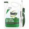 Roundup For Lawns Southern Herbicide With Wand - 1 Gal -Sunnydaze Decor Store GUEST f389c283 b853 4179 847c ab5abf40a20e