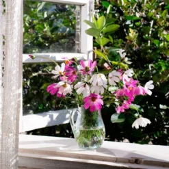 Back To The Roots 5pk Organic USA Flower Seeds -Sunnydaze Decor Store GUEST f4347ac0 4180 4cf1 b5e5 4b29a72da013