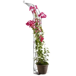 VegTrug™ Slimline Half Arch -Sunnydaze Decor Store GUEST f6d3ae43 33df 426d a38c d6f446a91a78